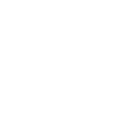 CHIP Training & Consulting